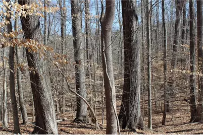 0 Jones Road, Reidsville, NC 27320 - Photo 3