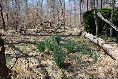 0 Jones Road, Reidsville, NC 27320 - Photo 29