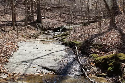 0 Jones Road, Reidsville, NC 27320 - Photo 9