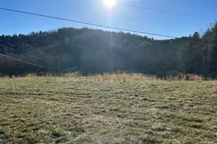 290 Painter Ln, McGrady, NC 28649 - Photo 13