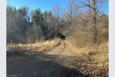 290 Painter Lane, McGrady, NC 28649 - Photo 9