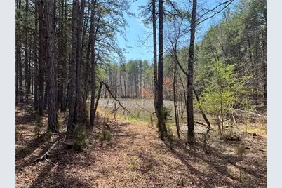 44 +/- Ac Island Drive, Madison, NC 27025 - Photo 23