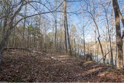 Lot 38 Lake Shore Drive, Yanceyville, NC 27379 - Photo 7
