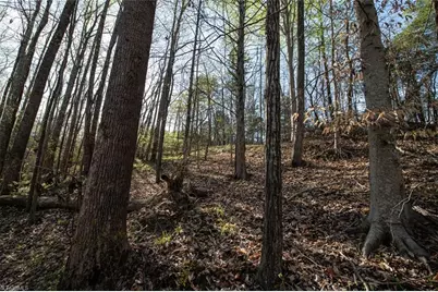 Lot 38 Lake Shore Drive, Yanceyville, NC 27379 - Photo 3