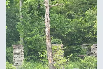 447 Brewer Mill Road, Traphill, NC 28685 - Photo 9