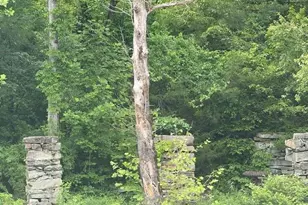 447 Brewer Mill Rd, Traphill, NC 28685 - Photo 9