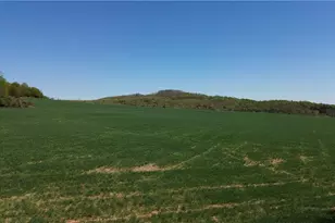 2121/2117 Swan Creek Rd, Jonesville, NC 28642 - Photo 47