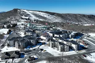 301 Pinnacle Inn Rd, Beech Mountain, NC 28604 - Photo 41
