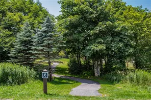 301 Pinnacle Inn Rd, Beech Mountain, NC 28604 - Photo 37