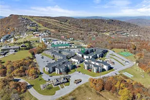 301 Pinnacle Inn Rd, Beech Mountain, NC 28604 - Photo 21
