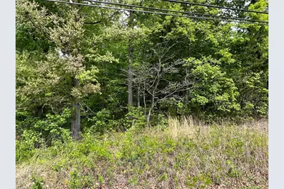 3.8 Ac Nc Highway 87, Eden, NC 27288 - Photo 3