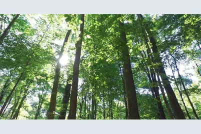 00 Lasater Road, Clemmons, NC 27012 - Photo 1