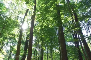 00 Lasater Rd, Clemmons, NC 27012 - Photo 1