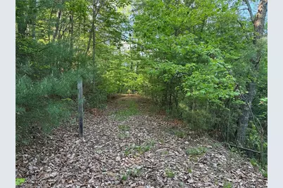 Lot 27 Wolf Pen Road, Purlear, NC 28665 - Photo 5