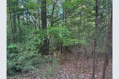 Lot 27 Wolf Pen Road, Purlear, NC 28665 - Photo 15