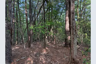 Lot 27 Wolf Pen Road, Purlear, NC 28665 - Photo 17