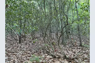 Lot 27 Wolf Pen Road, Purlear, NC 28665 - Photo 13