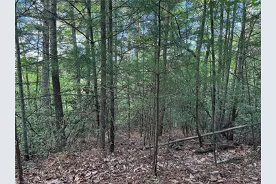 Lot 27 Wolf Pen Road, Purlear, NC 28665 - Photo 13