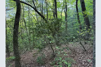 Lot 27 Wolf Pen Road, Purlear, NC 28665 - Photo 19