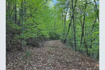 Lot 27 Wolf Pen Road, Purlear, NC 28665 - Photo 7