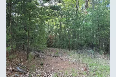 Lot 27 Wolf Pen Road, Purlear, NC 28665 - Photo 9