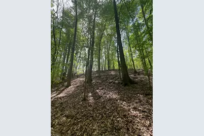 0 Pebble Brook Road, Sandy Ridge, NC 27046 - Photo 15