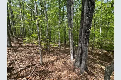 0 Pebble Brook Road, Sandy Ridge, NC 27046 - Photo 17