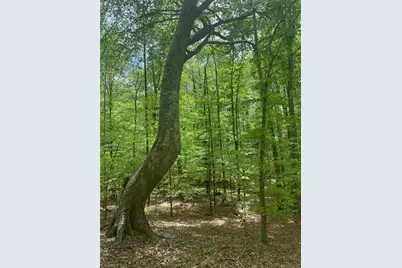 0 Pebble Brook Road, Sandy Ridge, NC 27046 - Photo 11