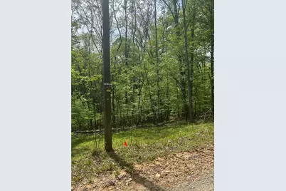 0 Pebble Brook Road, Sandy Ridge, NC 27046 - Photo 9