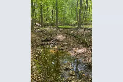 0 Pebble Brook Road, Sandy Ridge, NC 27046 - Photo 13