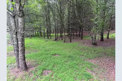 X Green Meadow Lane #5 Ac S, Ararat, NC 27007 - Photo 7