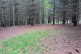 X Green Meadow Ln, Ararat, NC 27007 - Photo 1