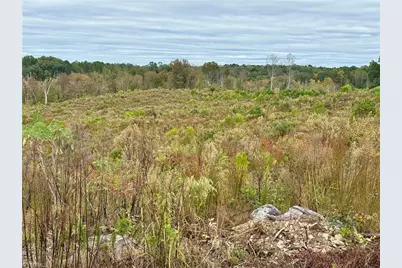 Lot 10 Skeens Mill Road, Trinity, NC 27370 - Photo 5