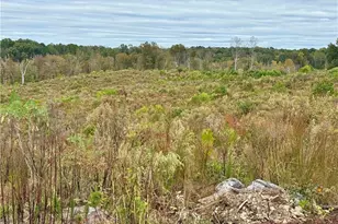 Lot 10 Skeens Mill Rd, Trinity, NC 27370 - Photo 1