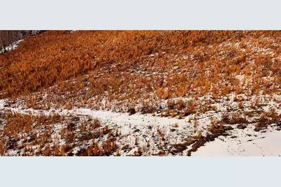 Lot 10 Skeens Mill Road, Trinity, NC 27370 - Photo 13