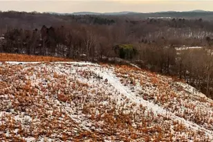 Lot 10 Skeens Mill Rd, Trinity, NC 27370 - Photo 1