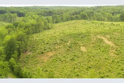 Lot 10 Skeens Mill Road, Trinity, NC 27370 - Photo 3