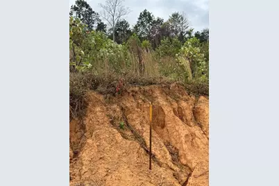 Lot 12 Skeens Mill Road, Trinity, NC 27370 - Photo 11