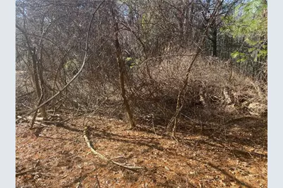 Tbd Holly Hill Drive, Sparta, NC 28675 - Photo 5