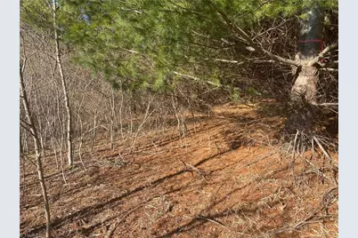 Tbd Holly Hill Drive, Sparta, NC 28675 - Photo 3