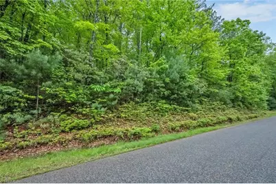 135 Chestnut Mountain Farms Parkway, McGrady, NC 28649 - Photo 19