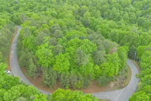 135 Chestnut Mountain Farms Pkwy, McGrady, NC 28649 - Photo 1