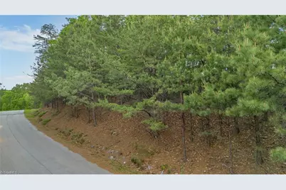 135 Chestnut Mountain Farms Parkway, McGrady, NC 28649 - Photo 3