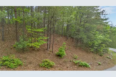 135 Chestnut Mountain Farms Parkway, McGrady, NC 28649 - Photo 5