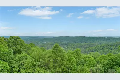 135 Chestnut Mountain Farms Parkway, McGrady, NC 28649 - Photo 13