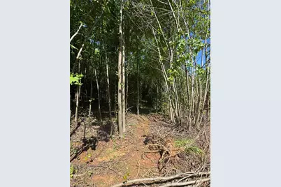 Lot 54 Billings Hill Church Road, Traphill, NC 28683 - Photo 11