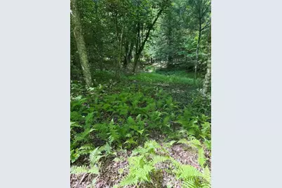Lot 54 Billings Hill Church Road, Traphill, NC 28683 - Photo 17
