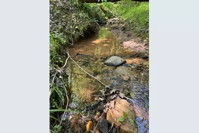 Lot 54 Billings Hill Church Road, Traphill, NC 28683 - Photo 1