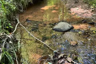 Lot 54 Billings Hill Church Rd, Traphill, NC 28683 - Photo 1