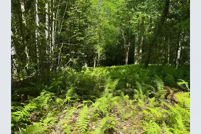 Lot 54 Billings Hill Church Road, Traphill, NC 28683 - Photo 15